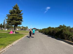 96B Esplanade, Semaphore vendégei