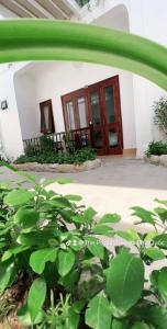Zahrada ubytování The Poplar Resort Phú Quốc
