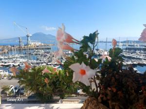 a bunch of flowers on a ledge with a marina at Coralinetiny in Castellammare di Stabia