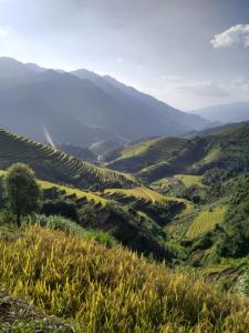 vistas a un valle con colinas con terraza en See bungalow, en Mù Cang Chải