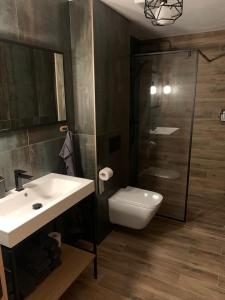y baño con lavabo, aseo y ducha. en Apartmany FABRIK en Vysoká nad Kysucou