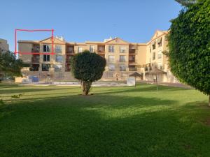 un parco con un albero e un edificio sullo sfondo di Apartamento Los Álamos Totalmente reformado Junio 2023 a Torremolinos