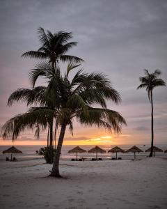瓜隆島的住宿－Sweet Dreams Koh Rong，日落时分海滩上的两棵棕榈树和遮阳伞