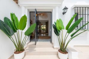 due piante in vaso sedute sul pavimento di un corridoio di VACATION MARBELLA I Villa Sirio, Golf-Front Villa, Private Pool, Privacy a Marbella