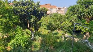 A garden outside Xristina's Experience
