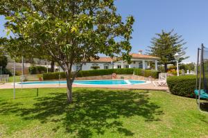 un árbol en un patio con piscina en Villa Galemar Pool & Gardens, en Torremolinos