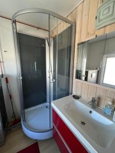 a bathroom with a shower and a sink at Jomsborg Ilulissat in Ilulissat