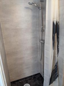 a shower with a glass door in a bathroom at Casa Bianca in Vadstena