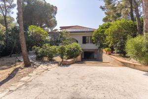 a house with a palm tree and a driveway at Quercianella Lovely Villa near the Sea W/Parking! in Quercianella