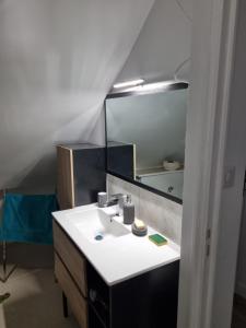 ein Bad mit einem Waschbecken und einem Spiegel in der Unterkunft La Lande Chauvin in La Chapelle-Saint-Aubert