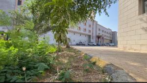 a building with a tree in front of a street at Hayat Redwa Hotel in Yanbu