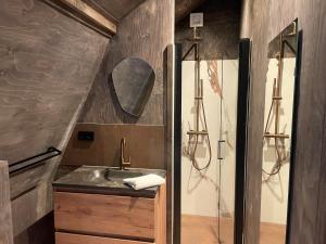 een badkamer met een wastafel en een douche bij Loft Heerehof in Schoorl