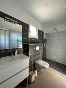 uma casa de banho com um lavatório, um WC e um espelho. em Villa 4 chbres avec piscine (10) em Saint-Augustin