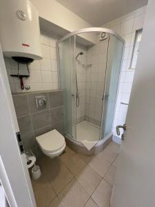 y baño con ducha y aseo. en Apartment A2 - Prvi zal, en Lumbarda