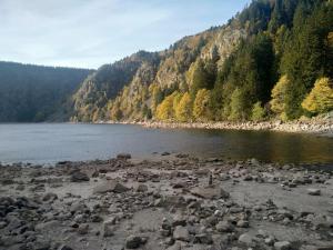 a large group of rocks on the shore of a lake at L'Aparté - Appartement cosy esprit montagne in Bussang