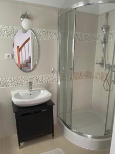 グジボボにあるGRIBKO SEASIDE APARTMENTSのバスルーム(シャワー、シンク、鏡付)