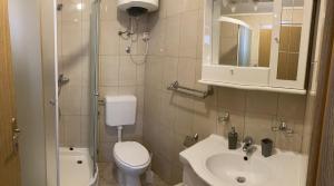 łazienka z toaletą, umywalką i prysznicem w obiekcie Apartman Turanj w mieście Turanj