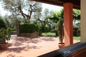 un patio avec des arbres et des plantes dans une cour dans l'établissement Affittacamere Acquaria-Vinci, à Vinci