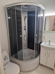 タリンにあるEcoland Hotelのバスルーム(シャワー、トイレ、洗面台付)