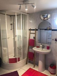 a bathroom with a shower and a sink at Chez Titian Vue sur le Mont St Michel in Pontaubault