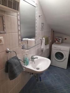 a bathroom with a sink and a washing machine at Frantato Seaview in Akamatra