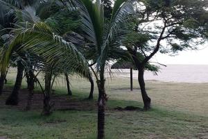 Paesaggio naturale nelle vicinanze dell'appartamento