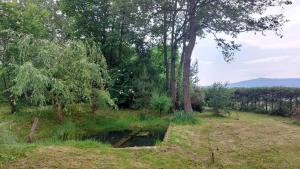 Paesaggio naturale nelle vicinanze of country house