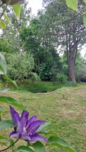 Giardino di Chalupa U Kolibříka