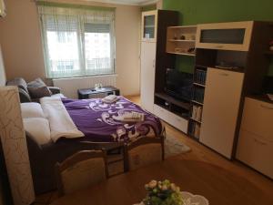 a small living room with a table and a couch at DORA in Đakovo
