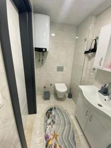 een badkamer met een wastafel, een toilet en een tapijt bij Apart Daire in Didim