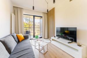 a living room with a couch and a television at Apartament Shellter Design przy plaży- Rogowo in Rogowo