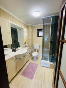 a bathroom with a toilet and a sink and a shower at Vila Madisa in Buşteni +34 photos