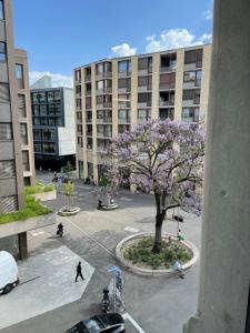 Hoone, kus apartement asub