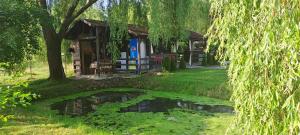 un estanque frente a una casa con un árbol en Casa Dobric, en Sovata