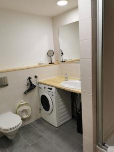 a bathroom with a washing machine and a sink at Panorama Apartment Gerlitzen in Treffen