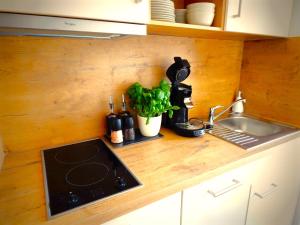 Una encimera de cocina con un fregadero y una estufa. en Vital Lodge Allgäu mit Oberstaufen PLUS, en Oberstaufen 22 fotos más