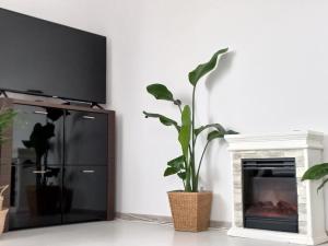 a living room with a tv and a fireplace at Apartament BEKA z miejscem postojowym in Biała Podlaska