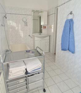 a bathroom with a sink and a towel rack at Cottage next Svihov castle in Švihov
