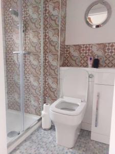 a bathroom with a toilet and a shower at LetAway - Yonge's Place Saltburn in Saltburn-by-the-Sea
