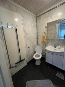 a bathroom with a toilet and a sink at Kaliininkuja in Lapua