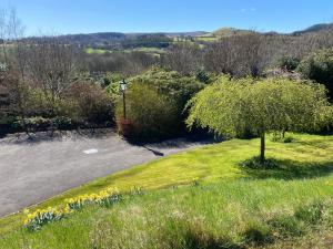 a tree in the grass next to a road at Sladen Lodge in Hathersage