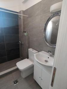 a bathroom with a toilet and a sink and a mirror at Central Apartments in Lefkos Karpathou