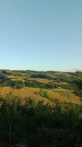 une vue sur un champ cultivé avec un ciel bleu dans l'établissement B&B La Buonora, à Sinio