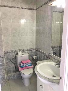 a bathroom with a toilet and a sink at Acuario shared flat piso compartido est partagé الشقة مشتركة in Benalmádena