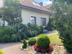 Zahrada ubytování Willa Rogowskich