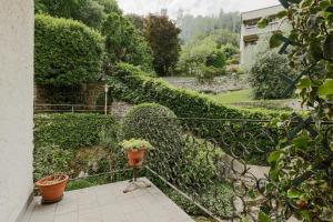 Casa Panoramica - by My Home In Como في كومو: درج بالنباتات والورود على الجدار