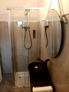 a bathroom with a shower and a toilet and a mirror at Retiro da Cava, piscina privada in Oleiros