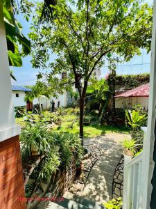 ogród poza domem z drzewem w obiekcie Căn Lucky w mieście Vung Tau