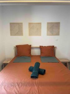 ein Schlafzimmer mit einem großen Bett mit zwei Kissen in der Unterkunft LE TEMPS D UNE PAUSE avec jardin accès au canal du midi in Castelnaudary