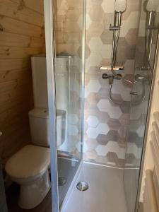 uma pequena casa de banho com WC e chuveiro em Chalet Suédois cocooning em Chazelles